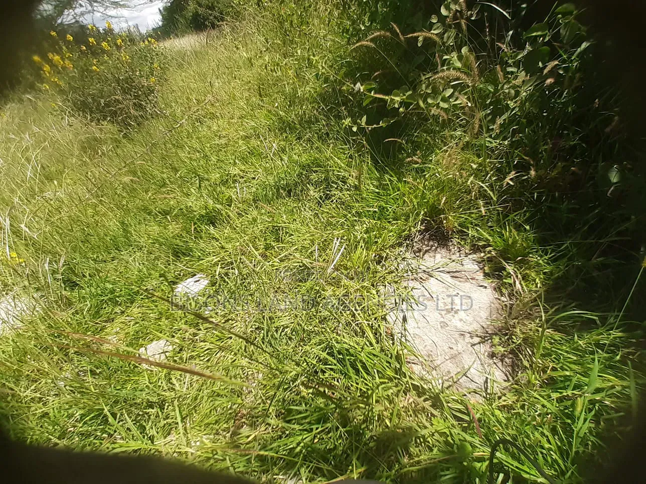 Available 80×80ft. Plot for Sale in Kitengela Kajiado County in Kitengela