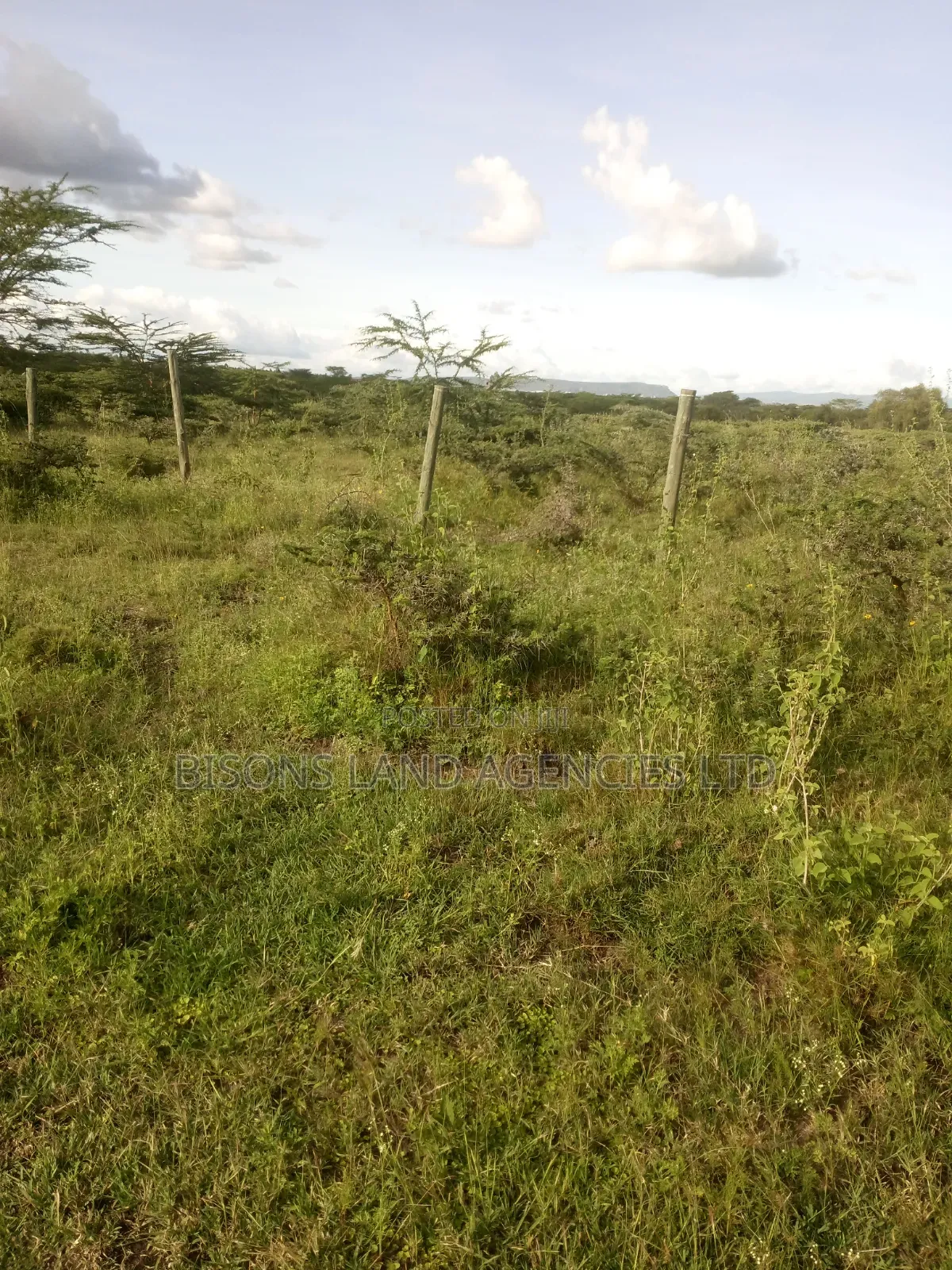 Available 80×80ft. Plot for Sale in Kitengela Kajiado County in Kitengela