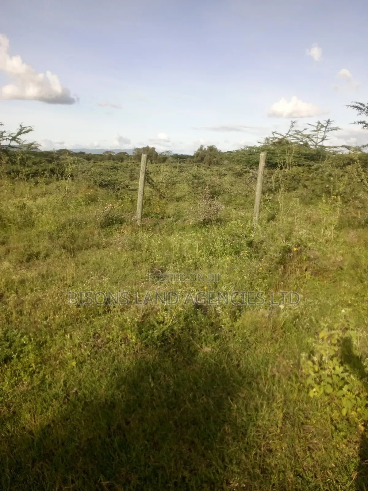Available One Acre Land for Sale in Makueni County. in Kalama