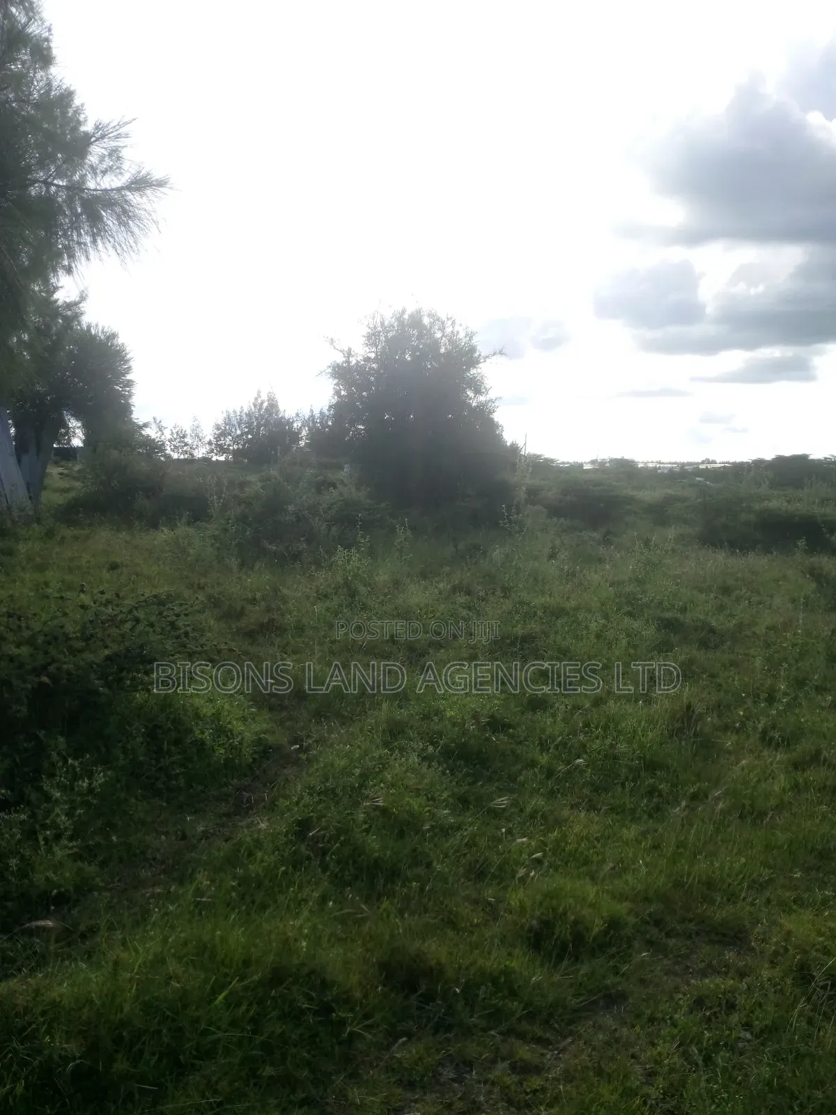 Available 8 Acres Land for Sale in Kajiado County in Bisil