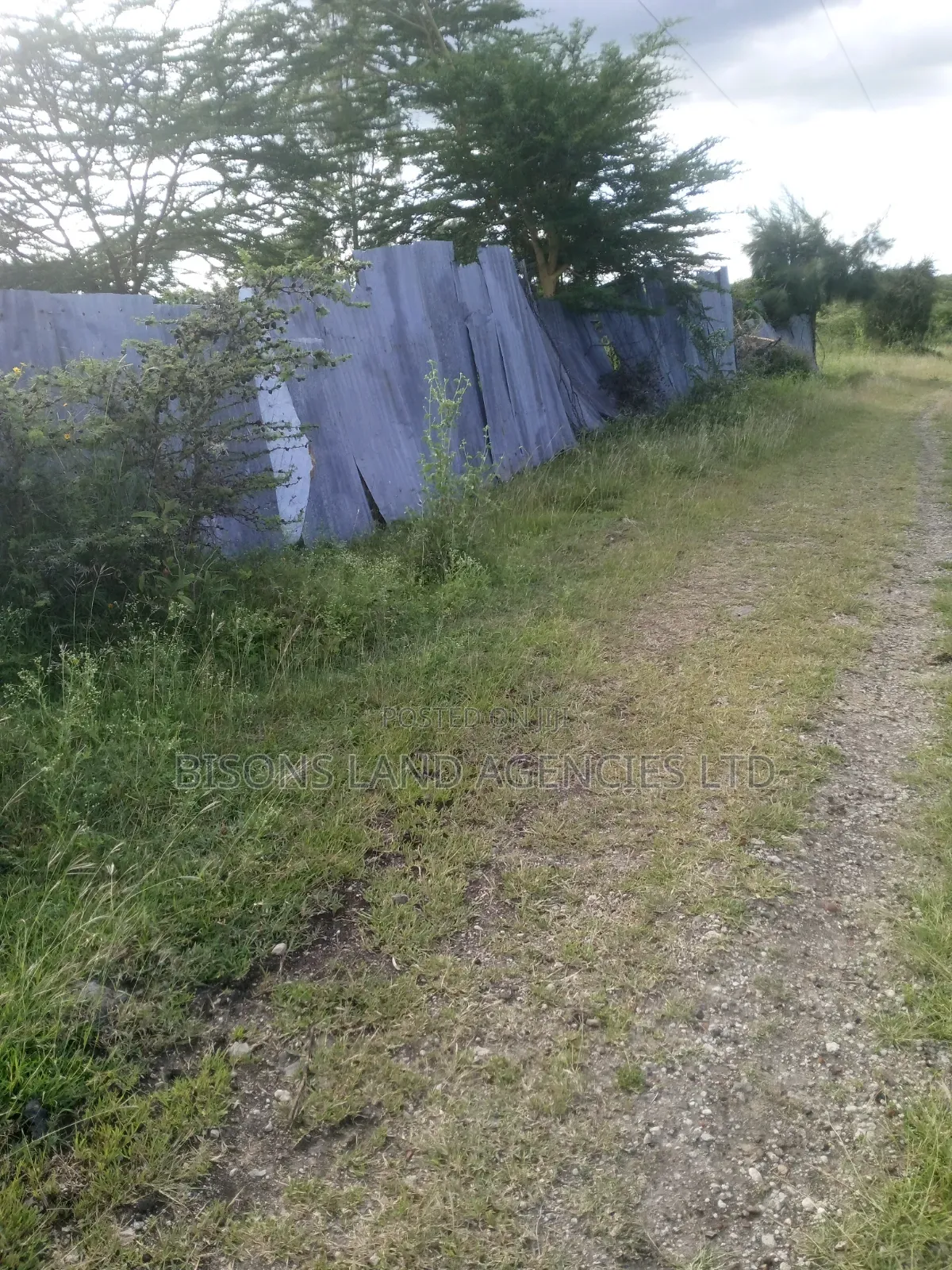 Available 8 Acres Land for Sale in Kajiado County in Bisil