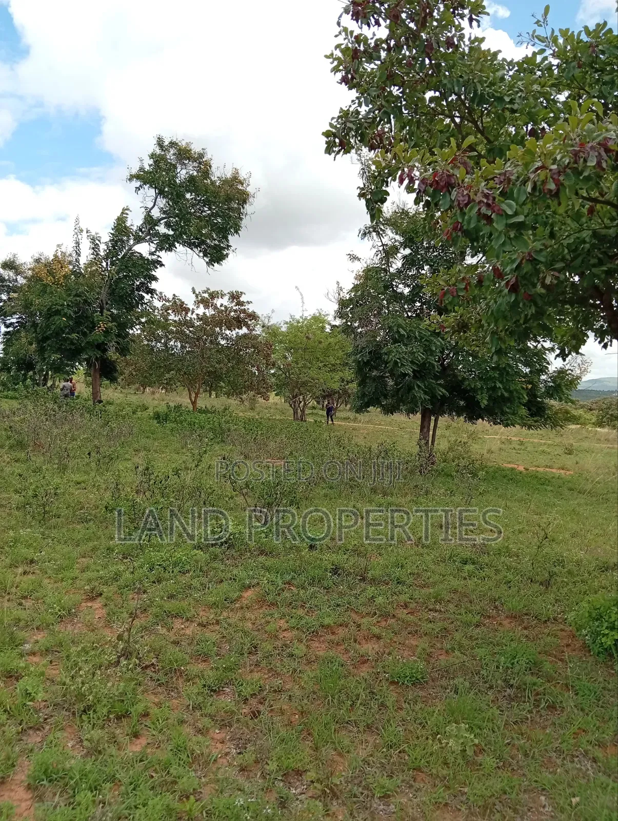 Cheap Plots for Sale in Matuu in Matuu