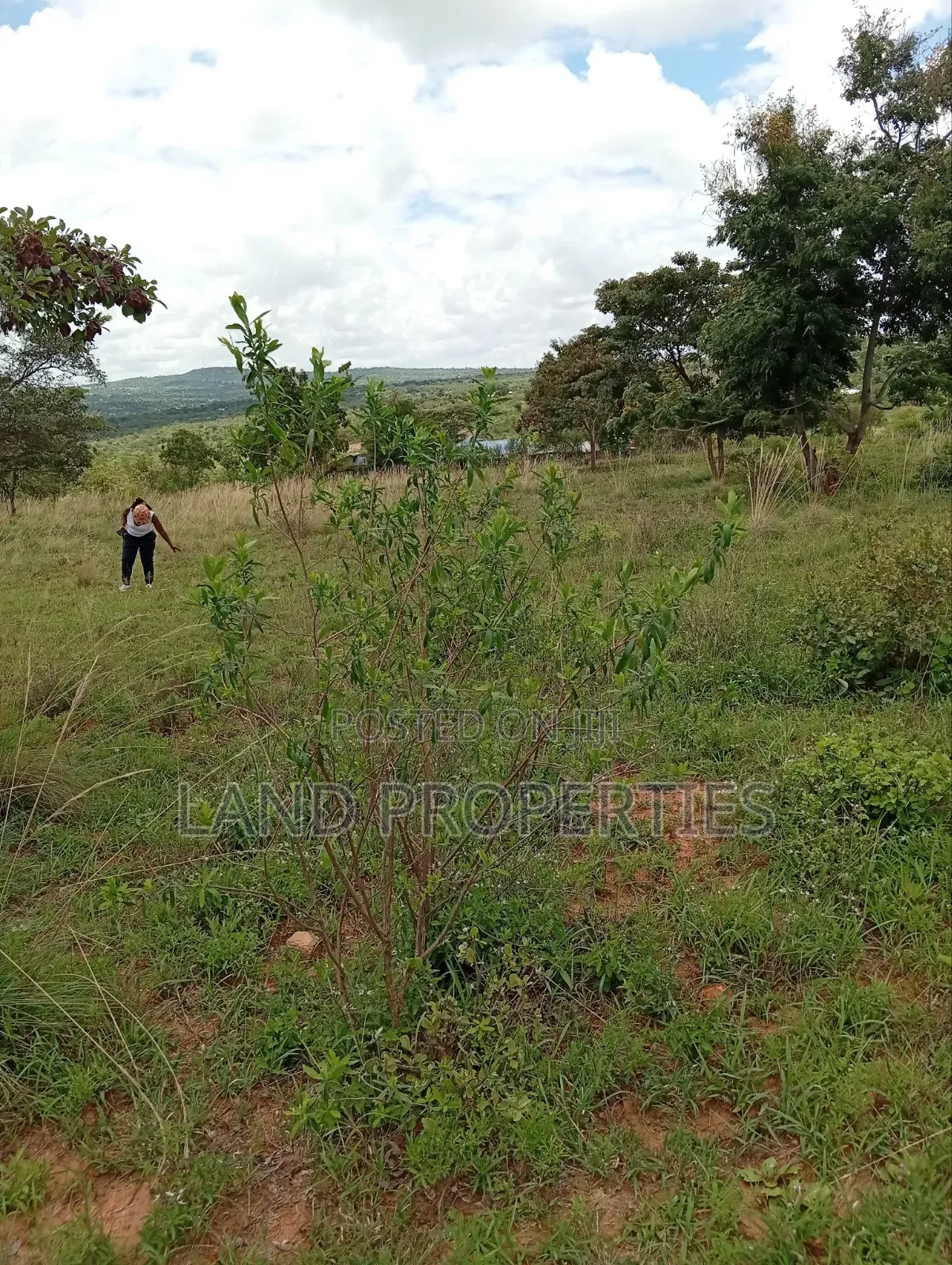 Cheap Plots for Sale in Matuu in Matuu