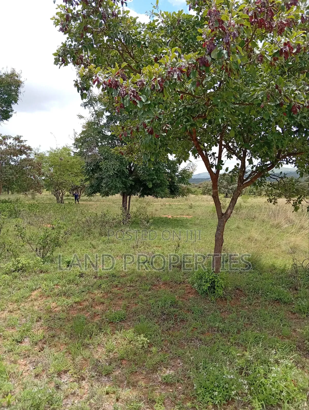 Cheap Plots for Sale in Matuu in Matuu