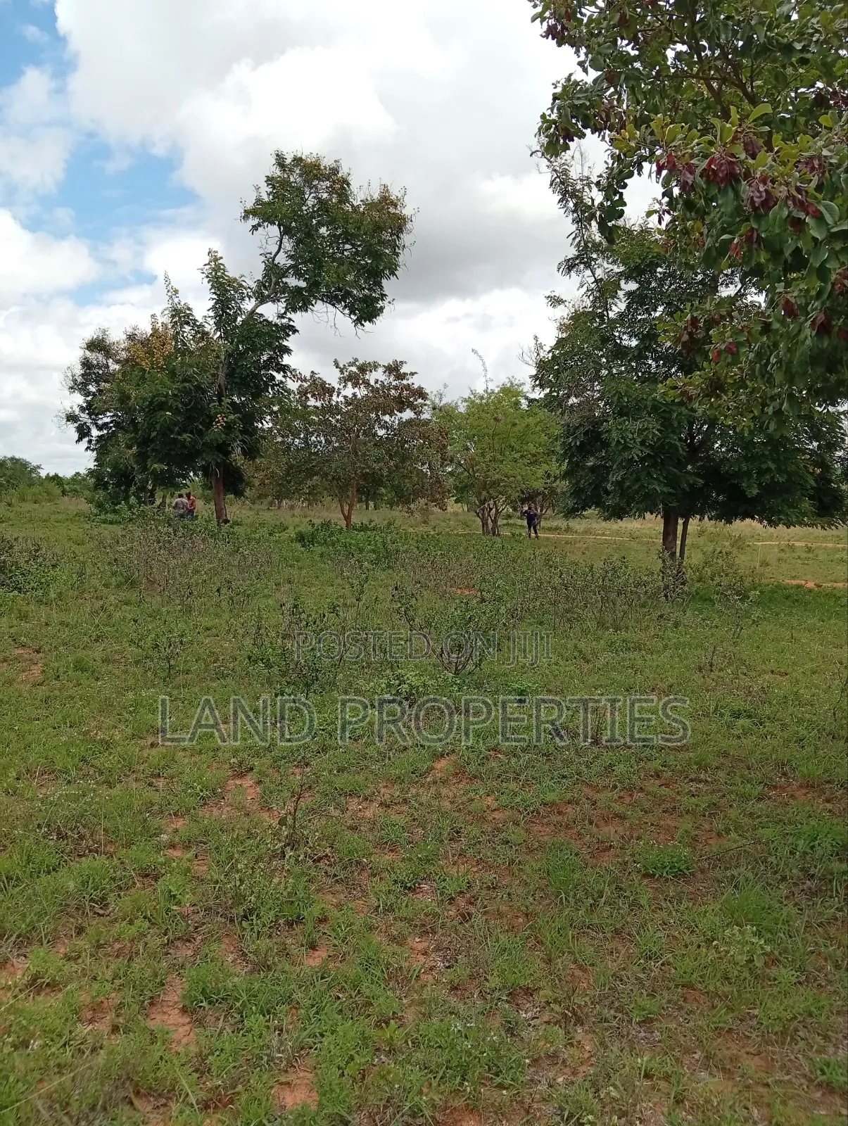 Budget-Friendly Plots for Sale in Matuu in Matuu