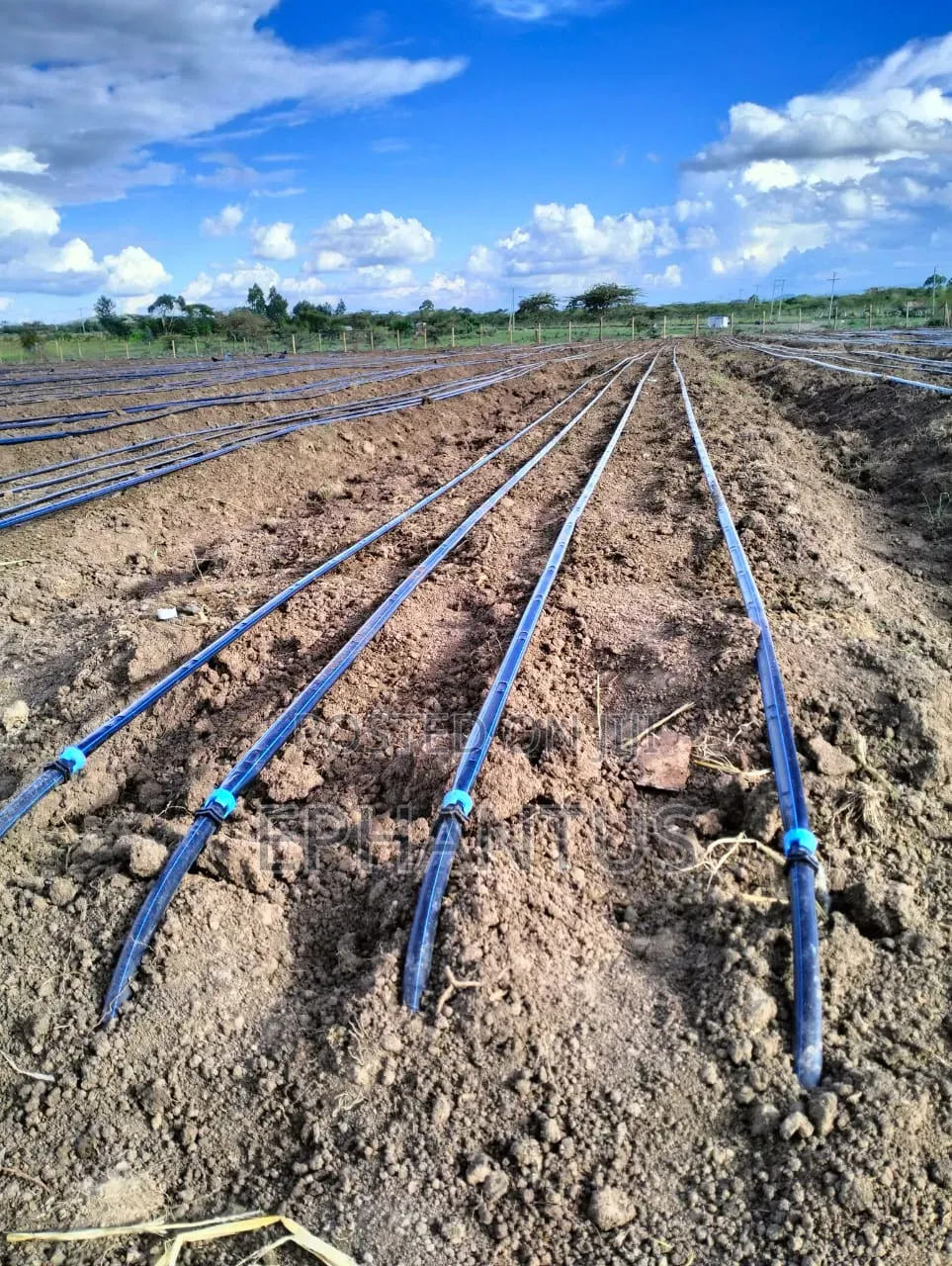 A Developed Farm for Sale in Ethi