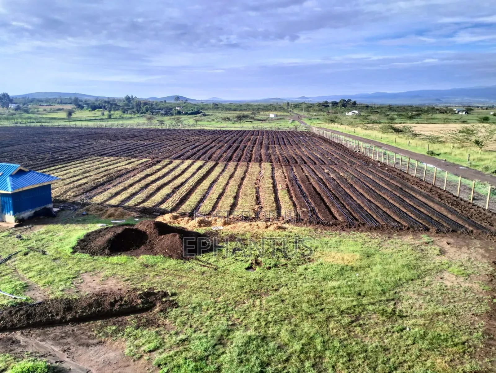 A Developed Farm for Sale in Ethi