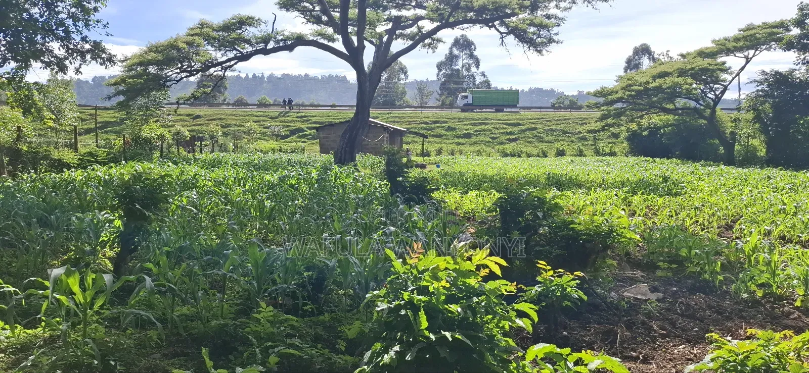 1/2 an Acre Webuye in Webuye
