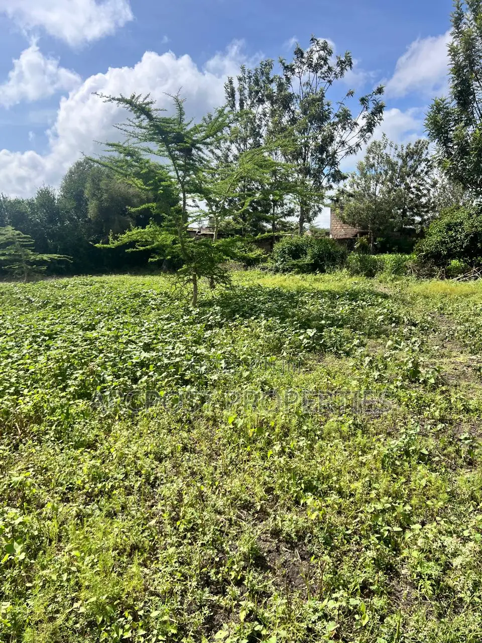 Prime 100x100 Plot Along Kiserian–Isinya Road in Kiserian