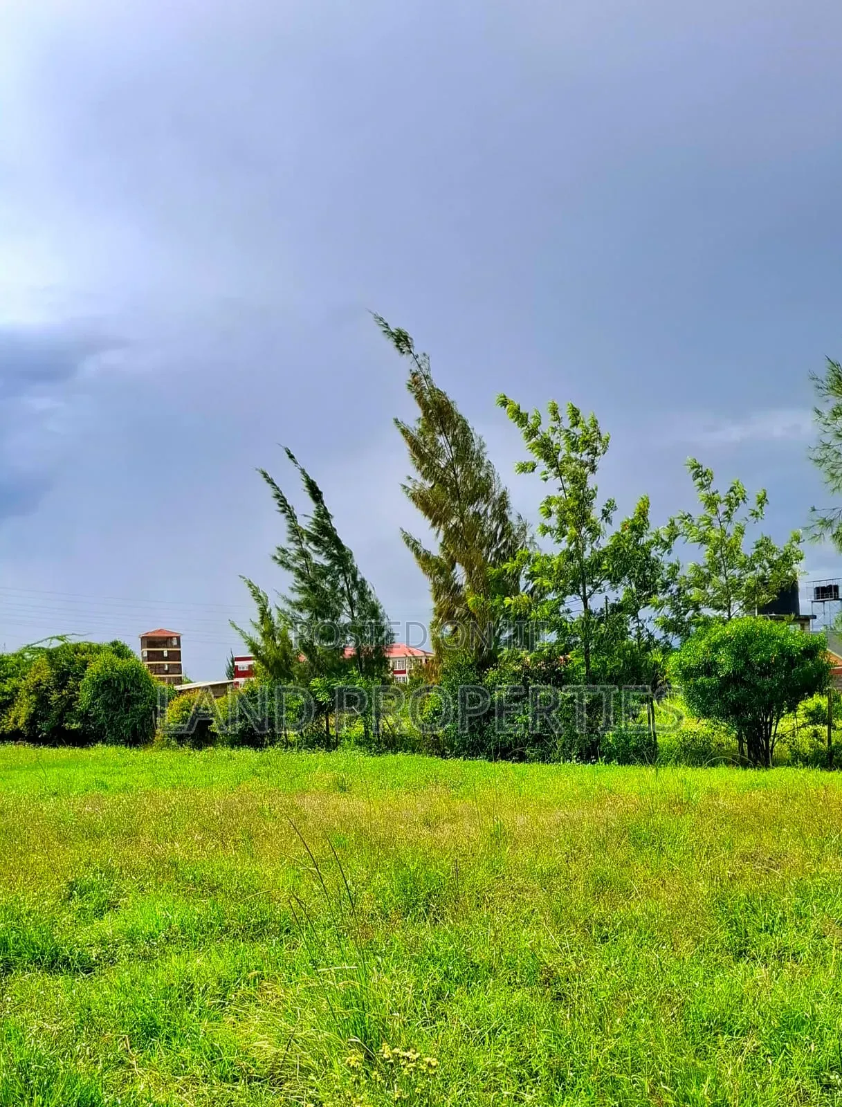 New Project On Sale At Juja Near The Tarmac in Kalimoni