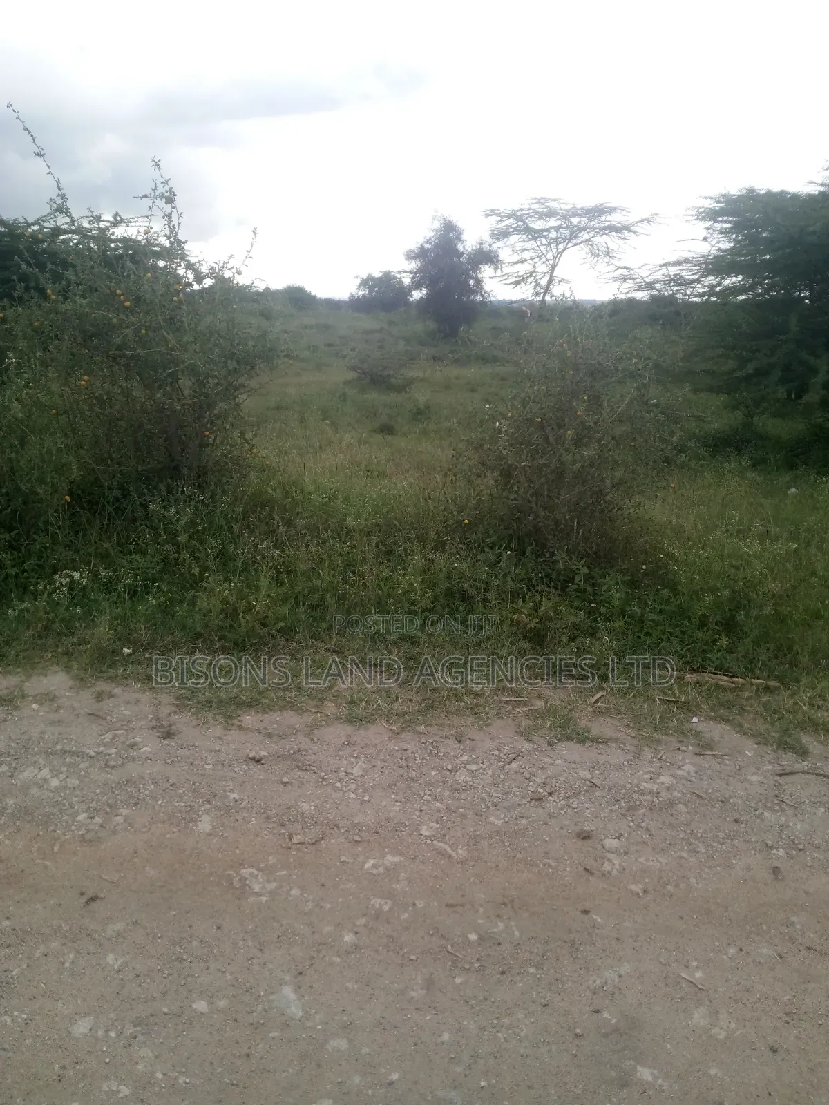 Available 3 Àcre Land for Sale in Bisil