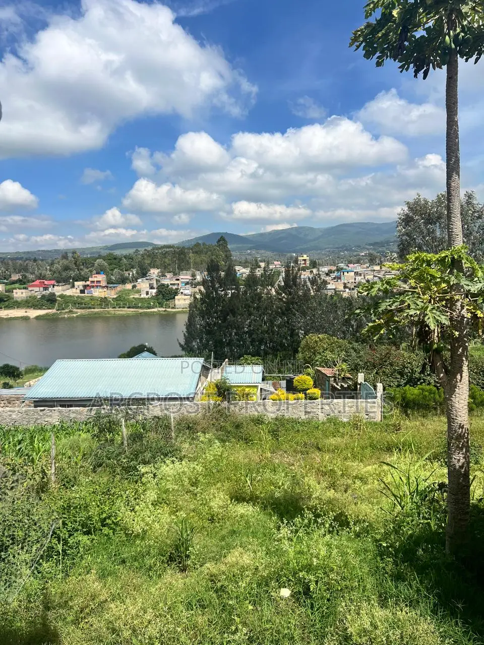 Affordable 50x100 Plot For Sale In Kiserian in Kiserian