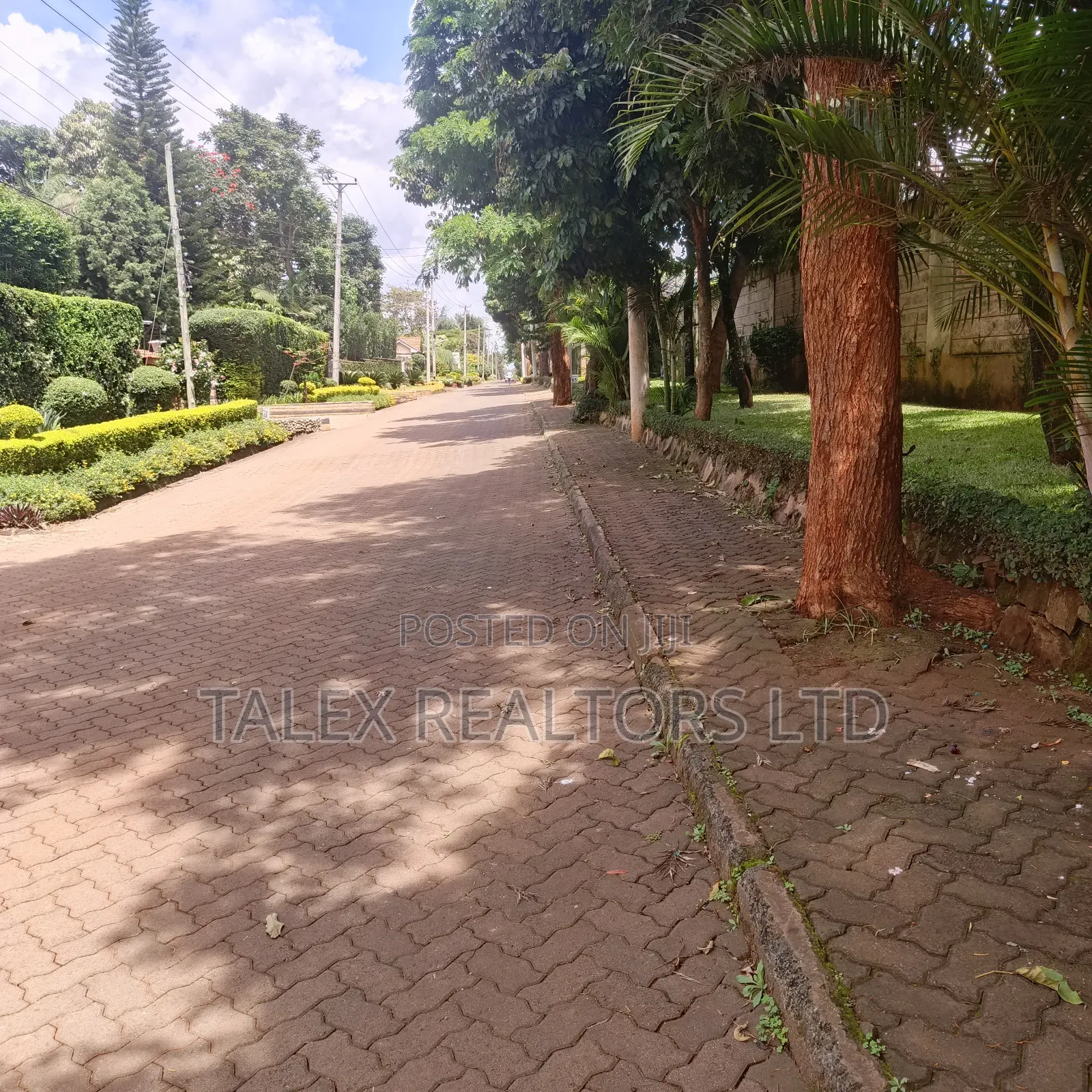 100 Acres of Agricultural Land in Narok: Where Wheat and Wealth Grows in Narok Town