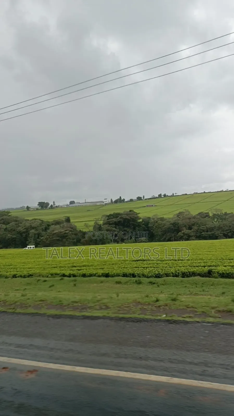 -Acre Tea Farm Kericho With| Factory, River 25 Buying Centres in Soin (Sigowet)