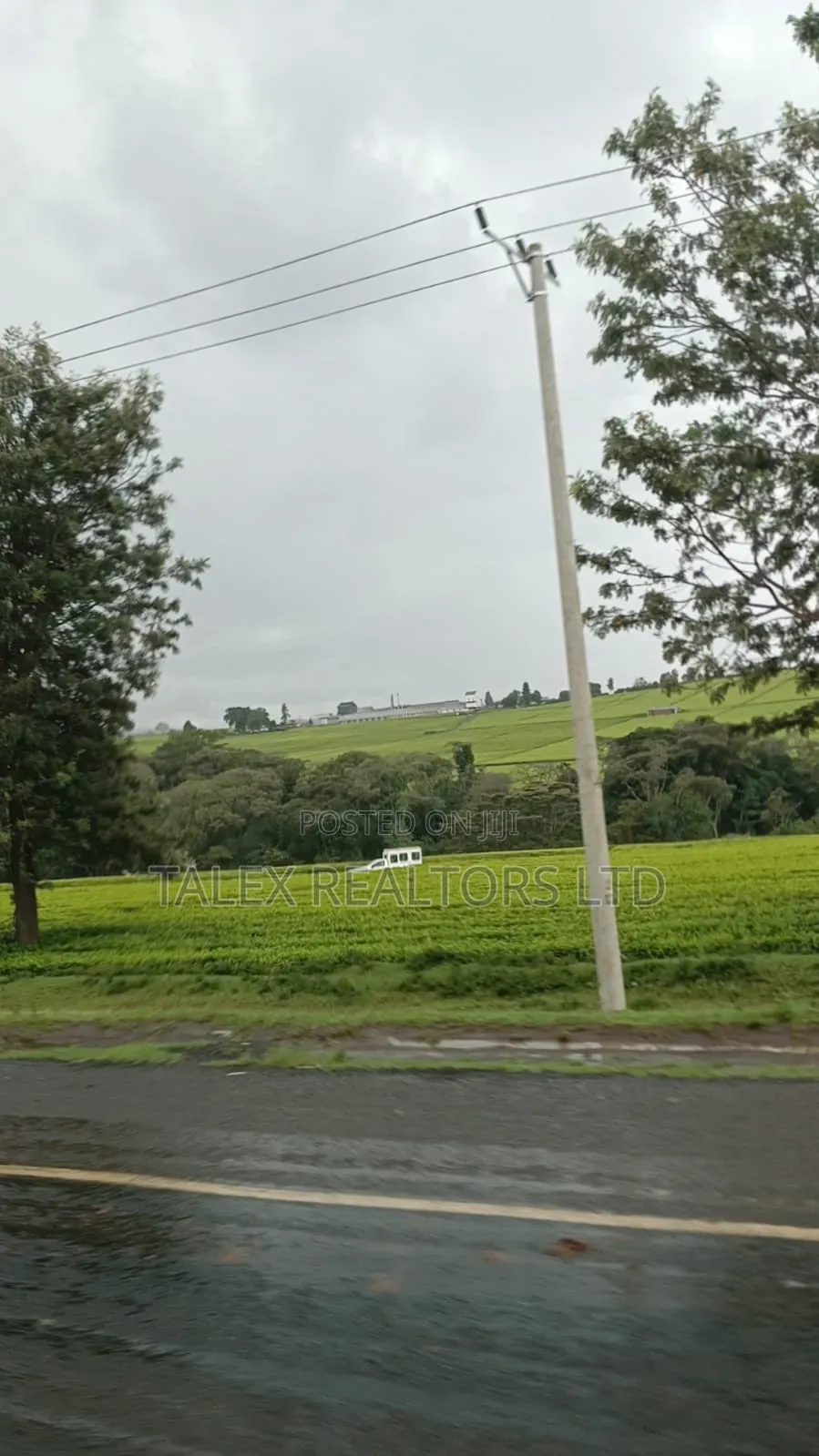 -Acre Tea Farm Kericho With| Factory, River 25 Buying Centres in Soin (Sigowet)