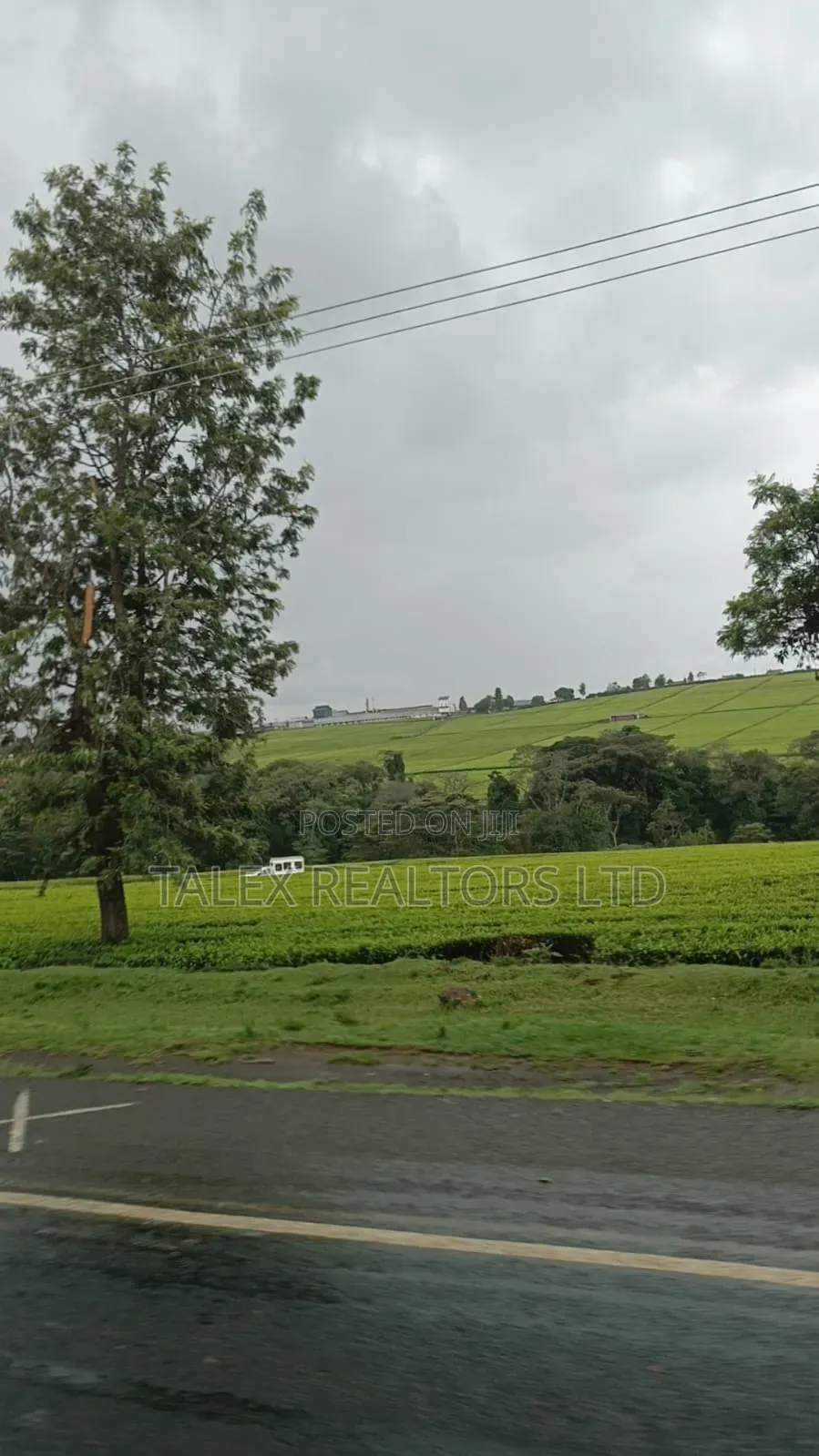 -Acre Tea Farm Kericho With| Factory, River 25 Buying Centres in Soin (Sigowet)
