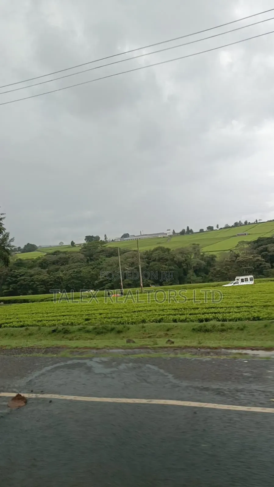 -Acre Tea Farm Kericho With| Factory, River 25 Buying Centres in Soin (Sigowet)