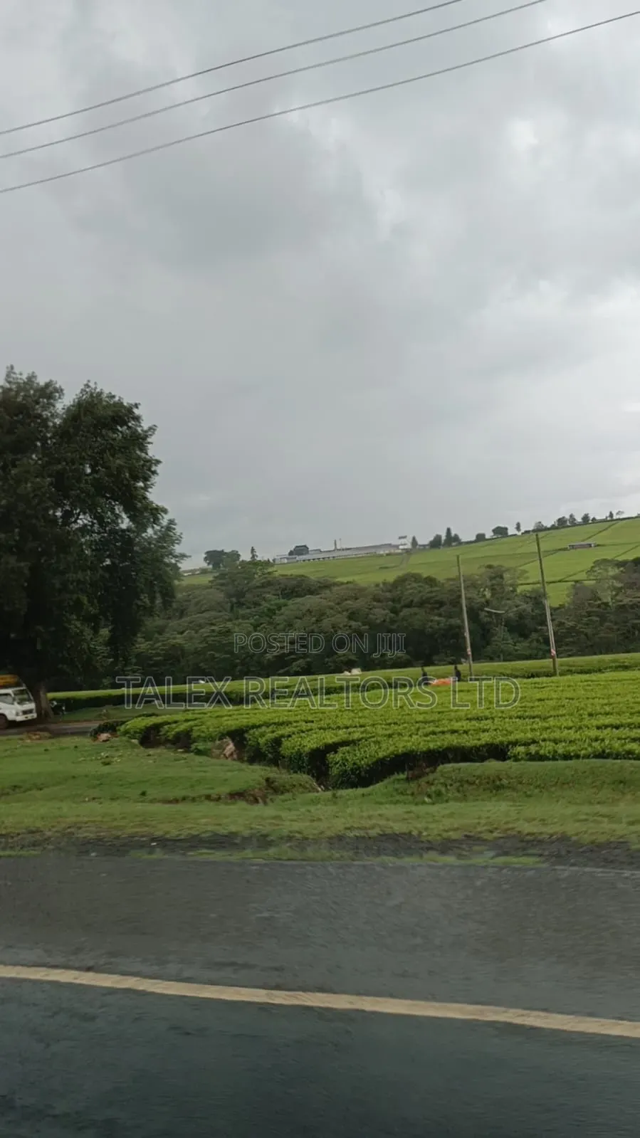-Acre Tea Farm Kericho With| Factory, River 25 Buying Centres in Soin (Sigowet)