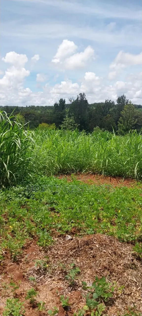 4 Acres on Sale at Makuyu -Mihang'o in Makuyu