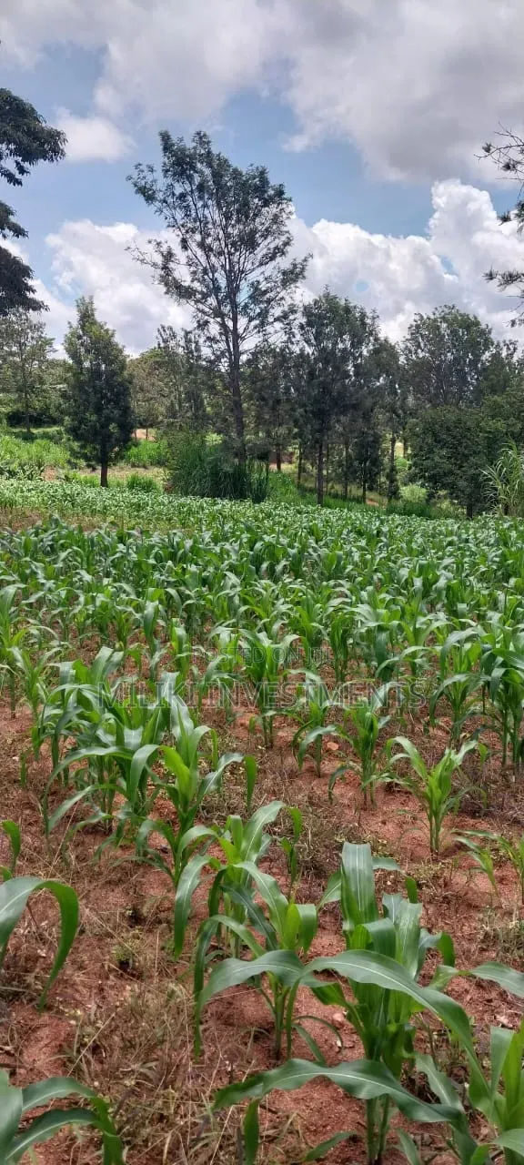 4 Acres on Sale at Makuyu -Mihang'o in Makuyu