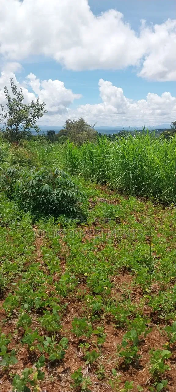 4 Acres on Sale at Makuyu -Mihang'o in Makuyu