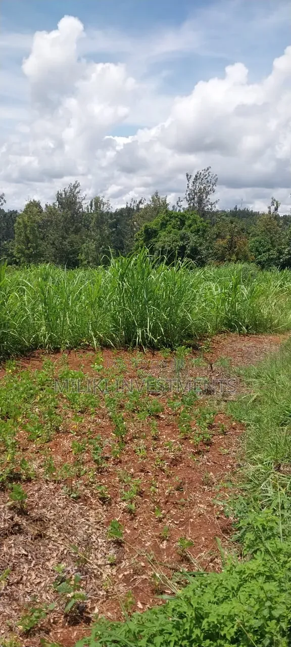 4 Acres on Sale at Makuyu -Mihang'o in Makuyu