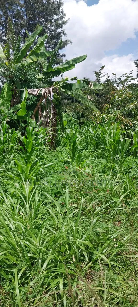 4 Acres on Sale at Makuyu -Mihang'o in Makuyu