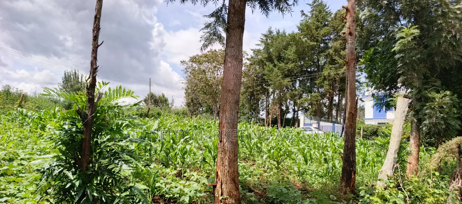 1⁄8(Eighth) Acre Plot for Sale in Ngong 46' in Ngong