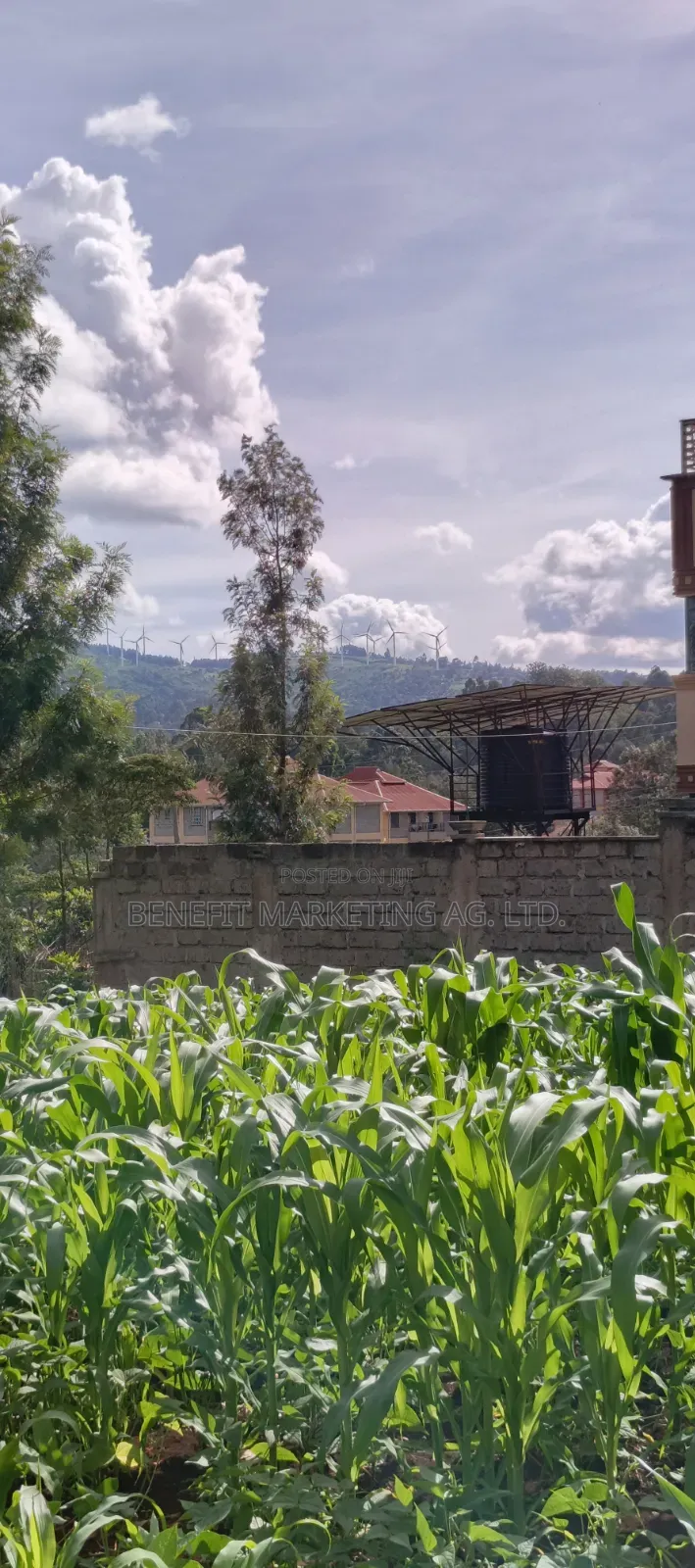 1⁄8(Eighth) Acre Plot for Sale in Ngong 46' in Ngong