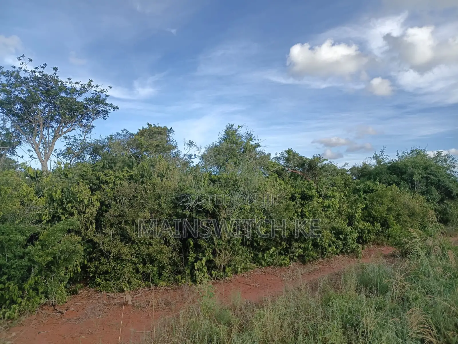 Own a Parcel of 28 Acres With Unique Numbers Wait for Tittle Deed in Marafa