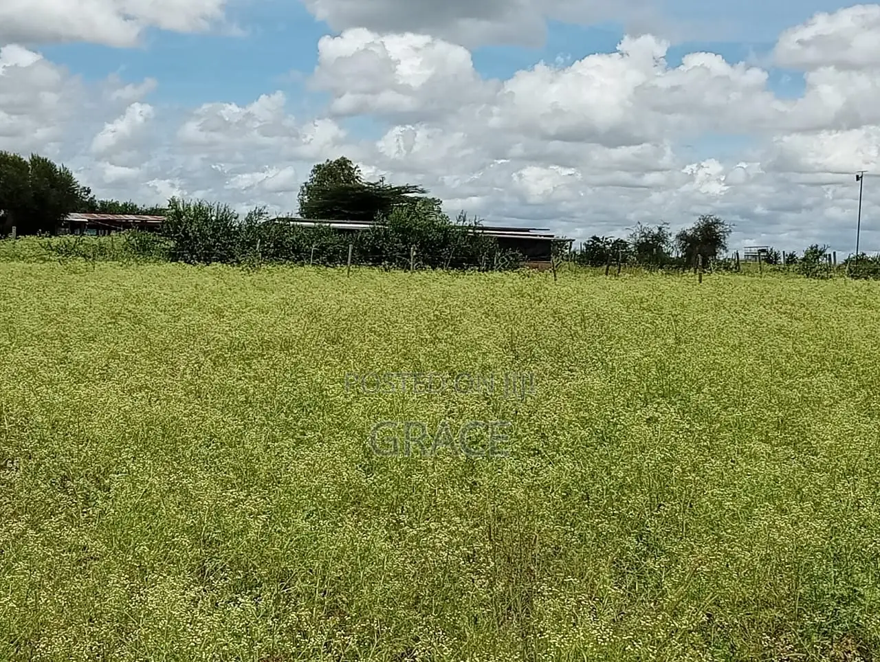 Kisaju Prime Plots for Sale in Kisaju