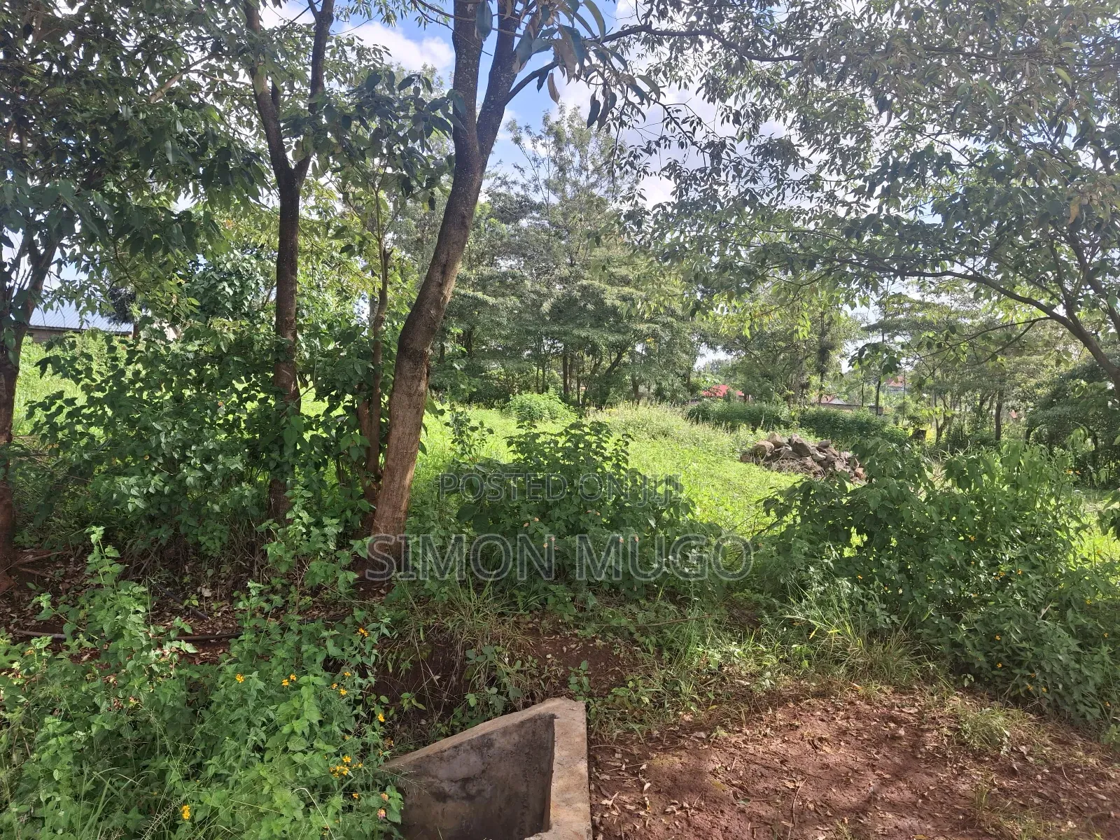 Kiahuria Prime Commercial 1/4 Ac on Tarmac Corner Plot in Ngoingwa Estate
