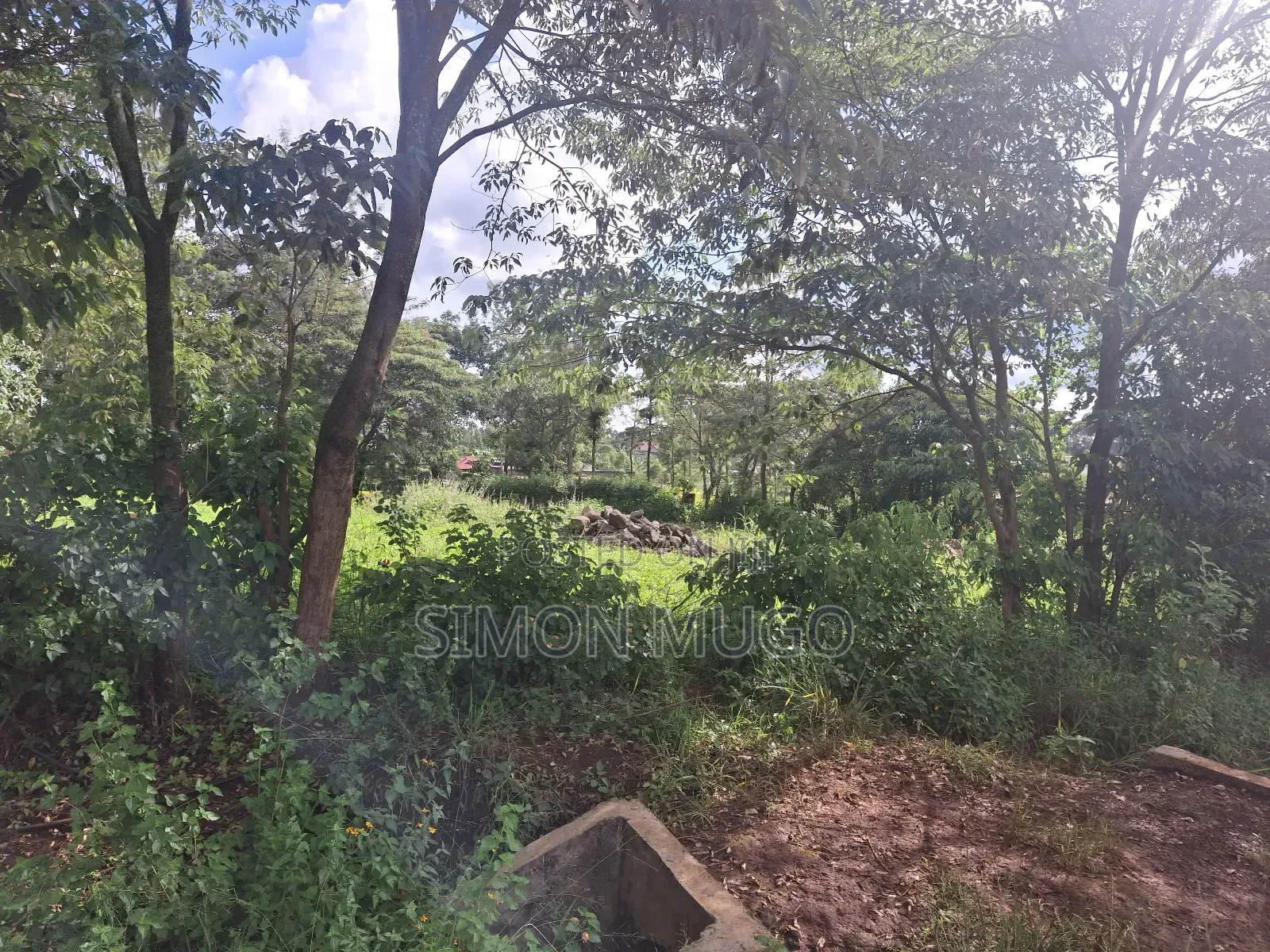 Kiahuria Prime Commercial 1/4 Ac on Tarmac Corner Plot in Ngoingwa Estate