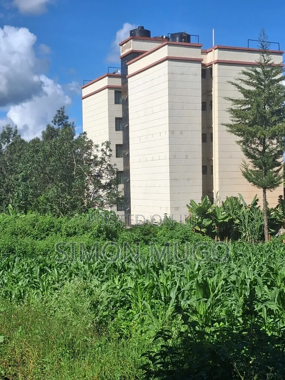 Ruaka Limuru Rd 1/4 Ac Ideal for Apartments Quick Sale 23 Millions in Ngoingwa Estate