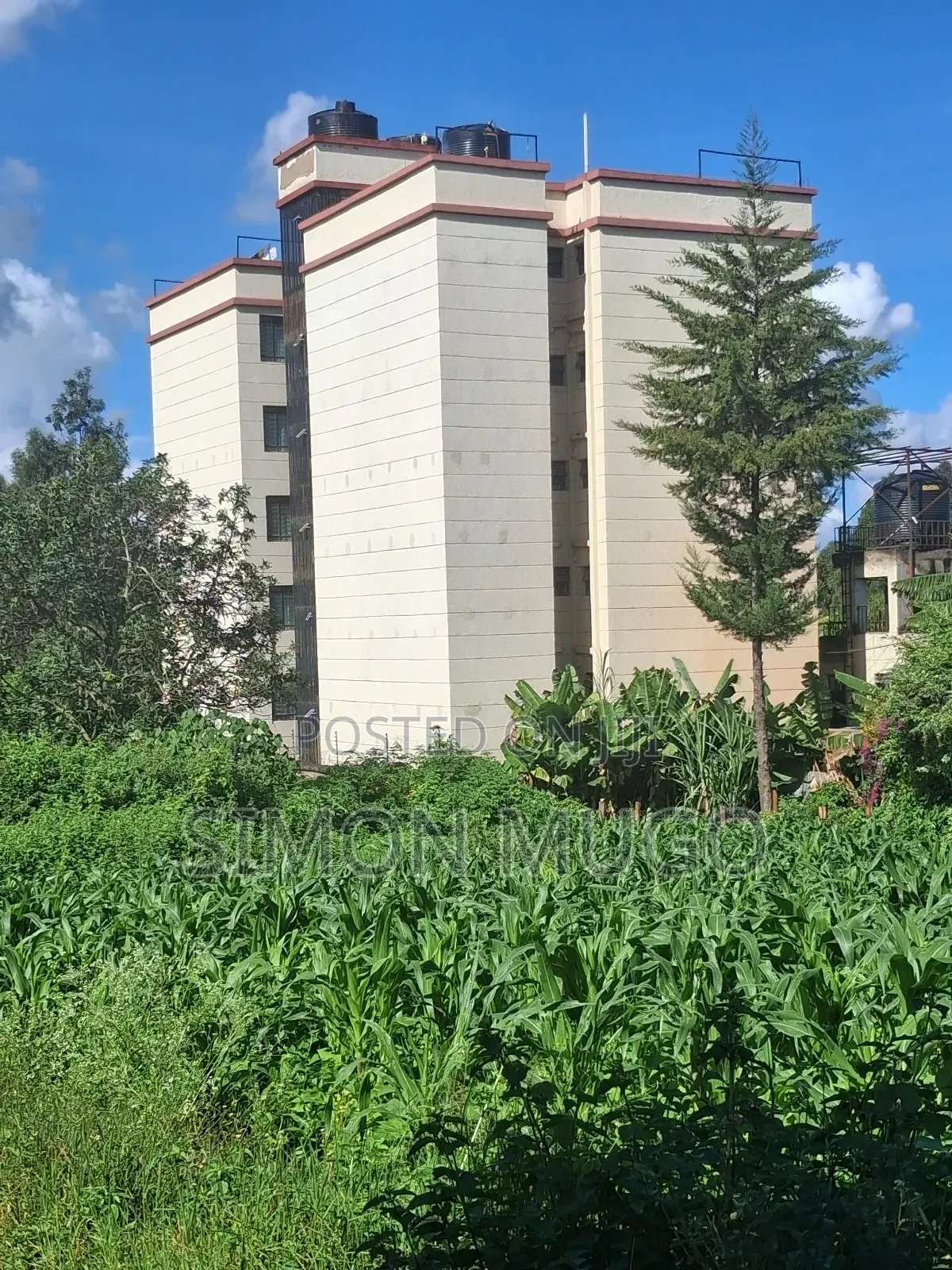 Ruaka Limuru Rd 1/4 Ac Ideal for Apartments Quick Sale 23 Millions in Ngoingwa Estate