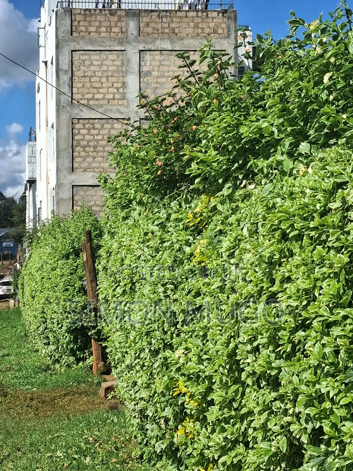 Ruaka 2 Adjoined 1/4 AC Freehold Title Ideal for Apartments in Ruaka