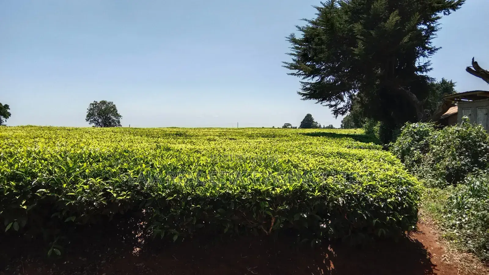 Limuru 30 Acre Land on Sale in Tigoni