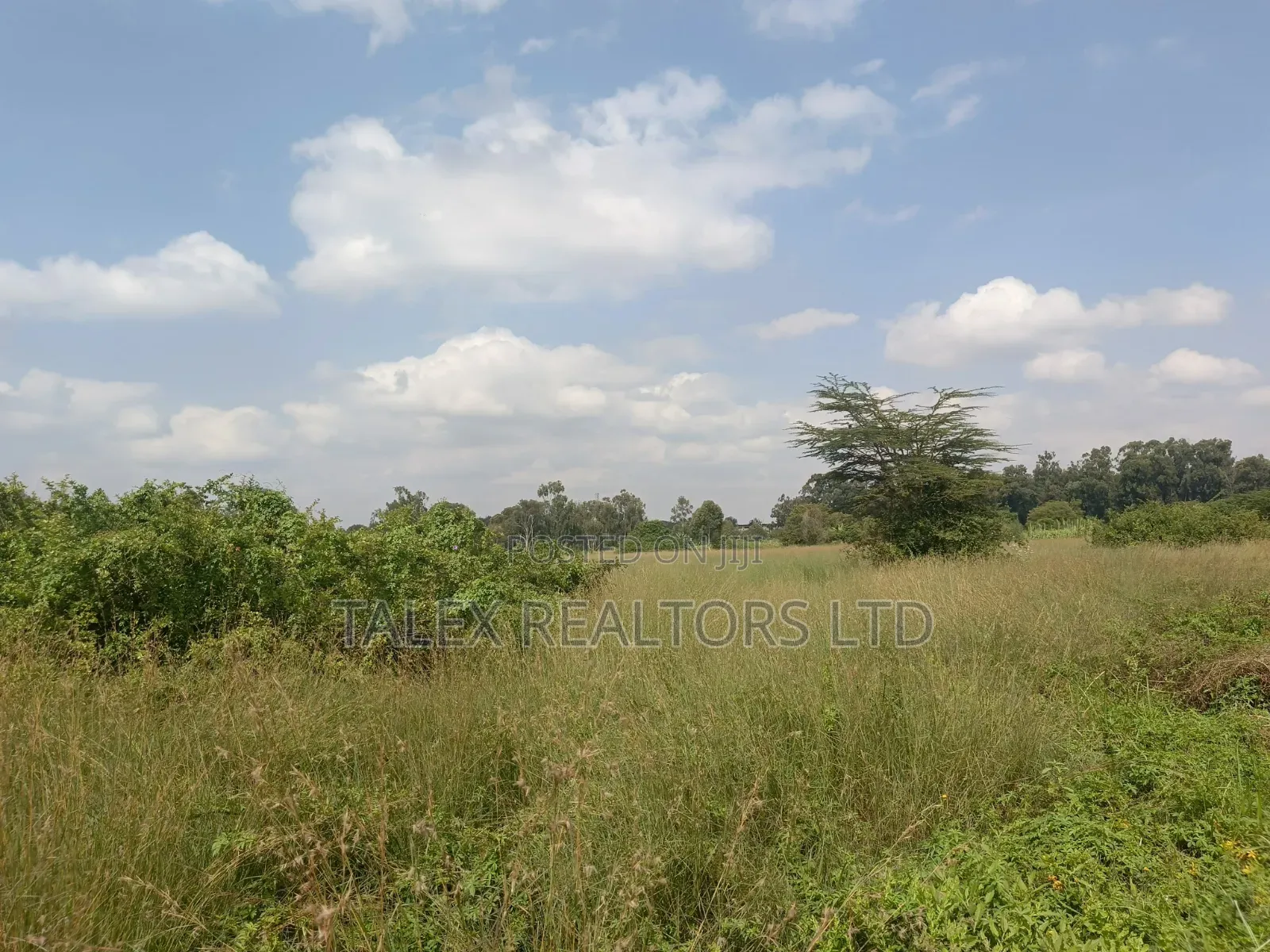 Not Just Land. The Last 73 Acres of Karen’S Sacred Silence. in Karen C