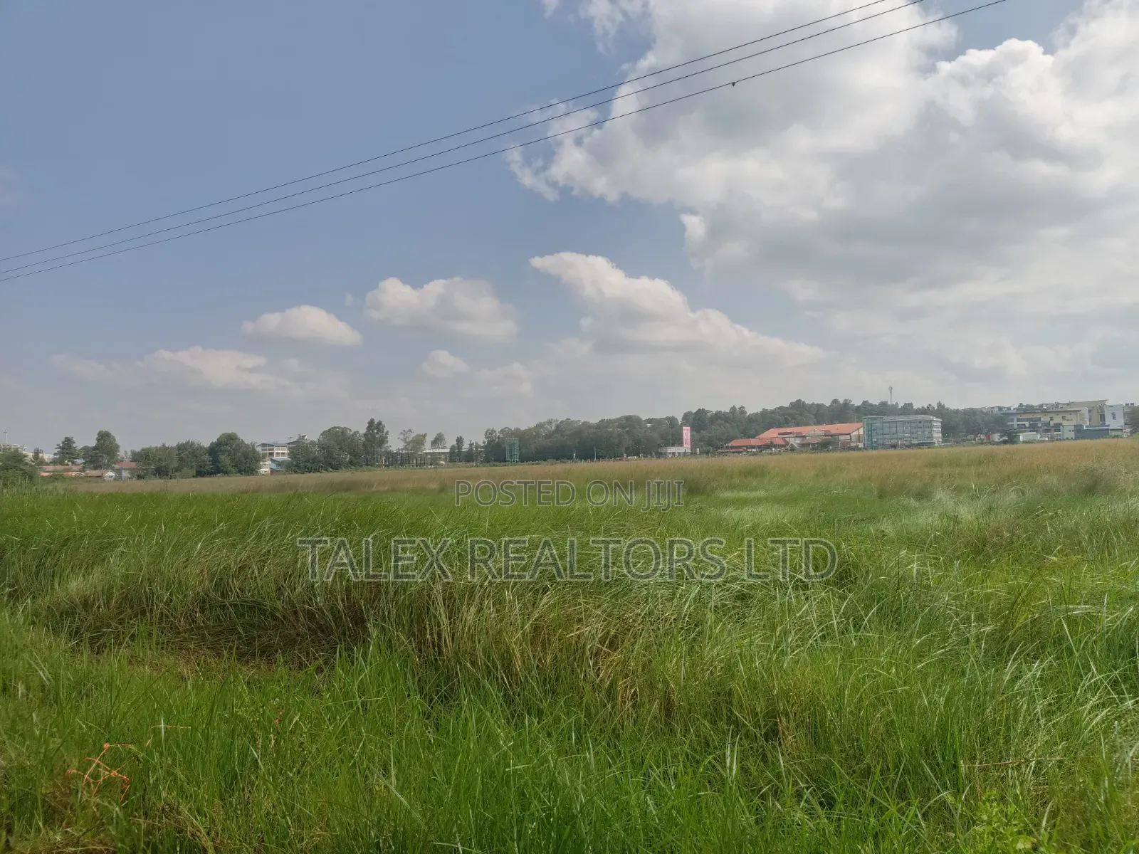 Not Just Land. The Last 73 Acres of Karen’S Sacred Silence. in Karen C