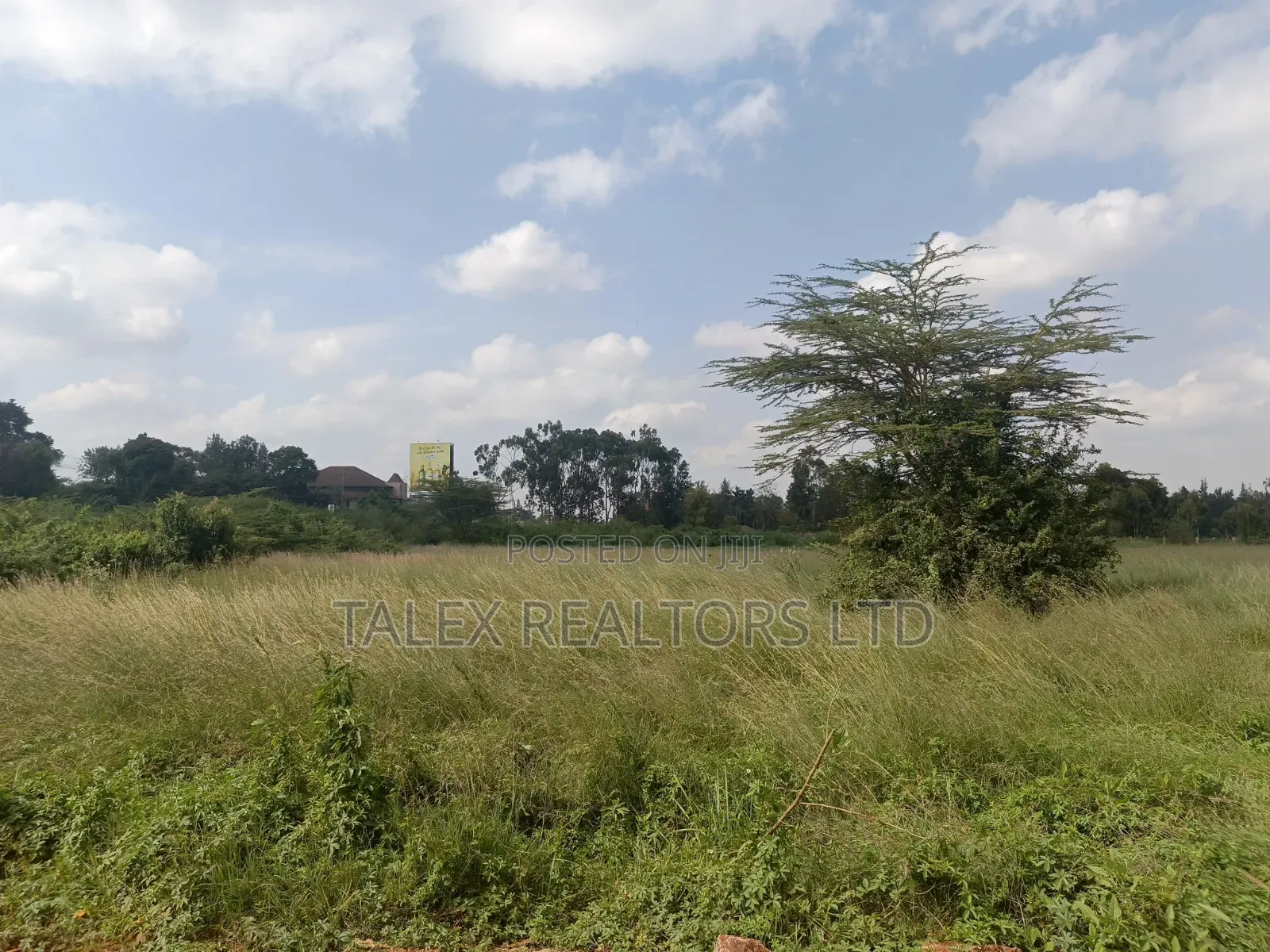Not Just Land. The Last 73 Acres of Karen’S Sacred Silence. in Karen C
