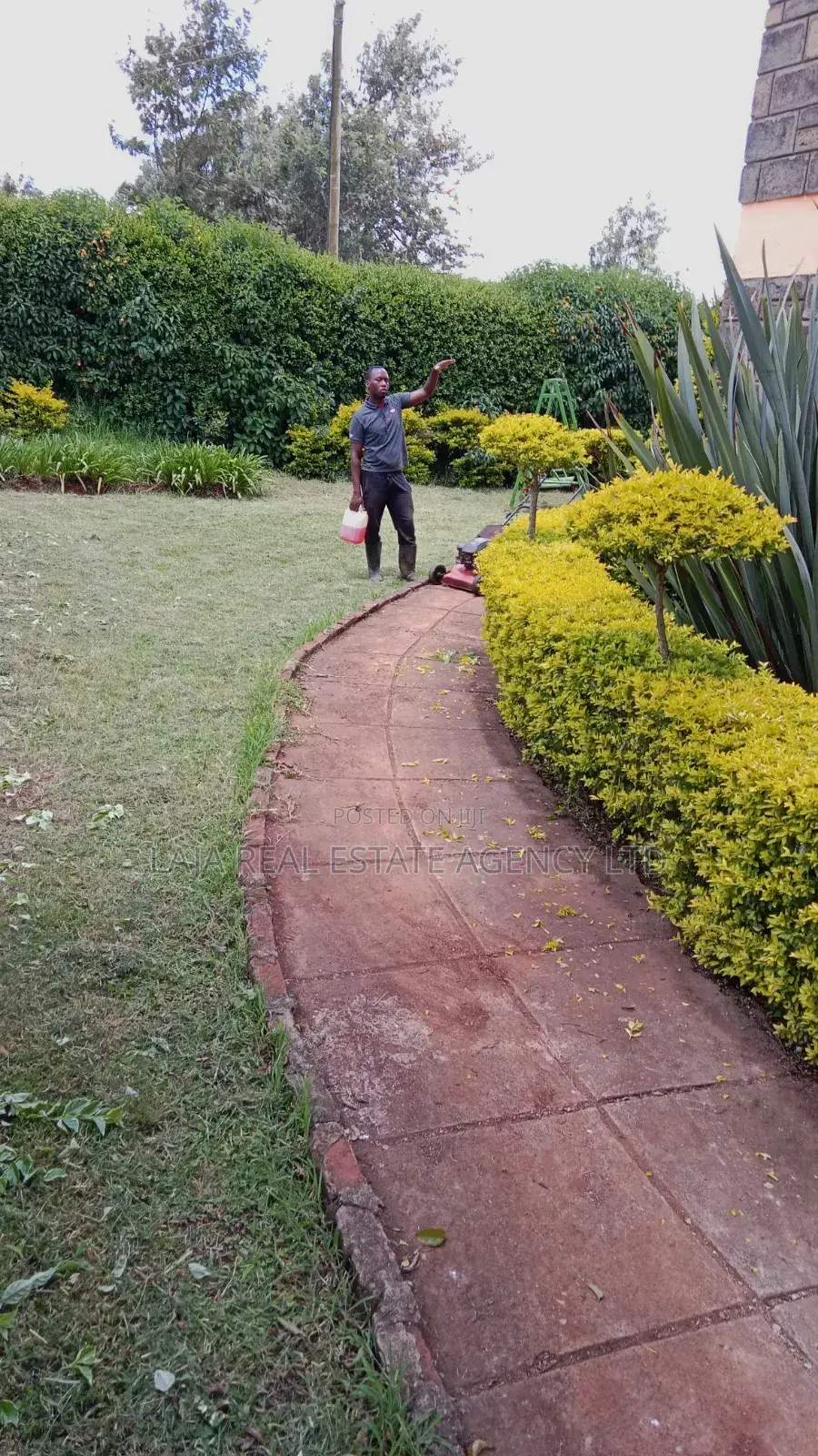 Wedding Hire Garden in Tigoni
