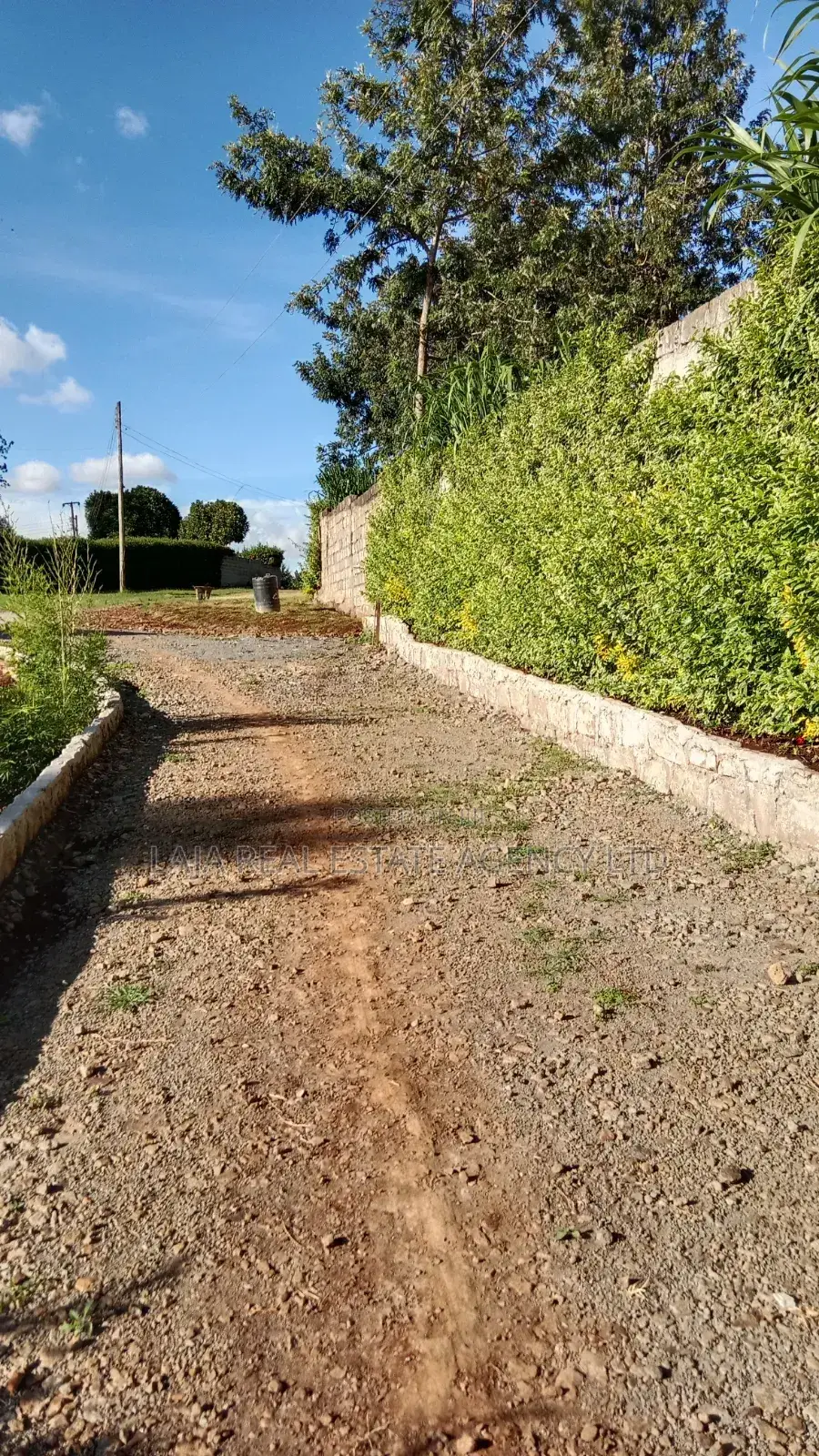 Wedding Hire Garden in Tigoni