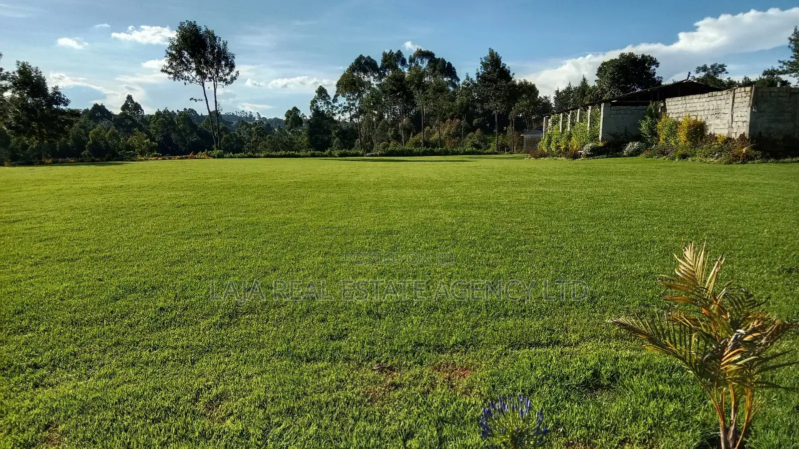Wedding Hire Garden in Tigoni