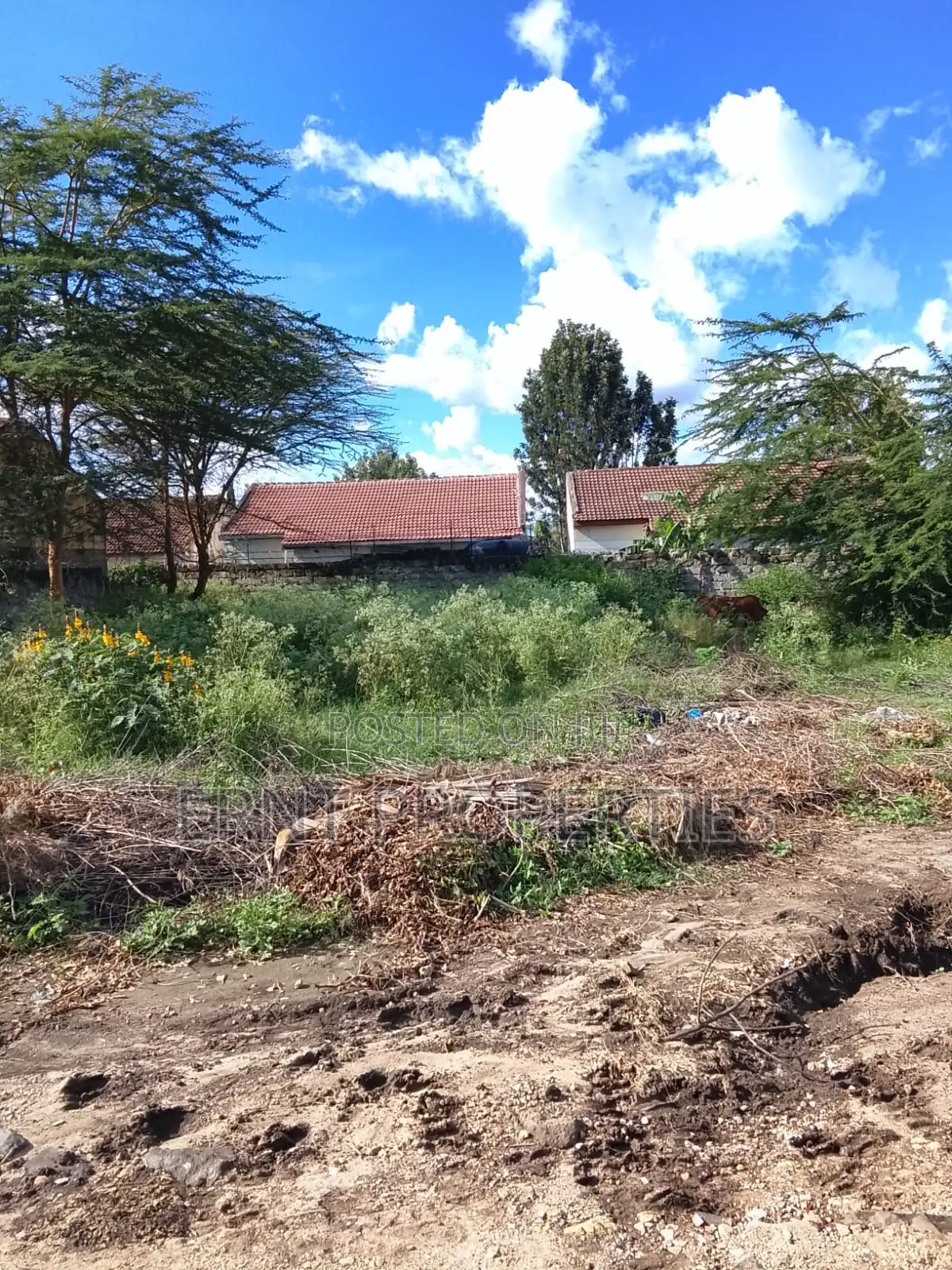 1/8 Acre Plot for Sale in Milimani Creflo, Kitengela in Kitengela