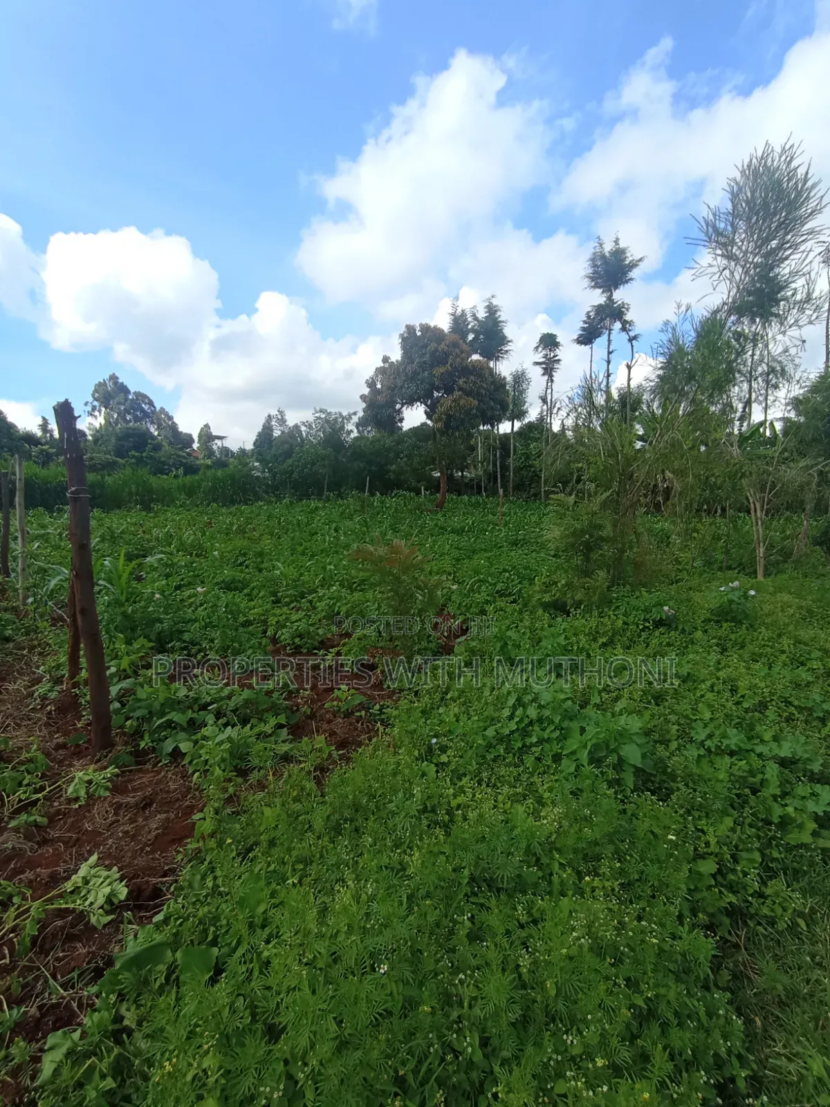 50×100 Plots for Sale at Kwa Mindo, Kikuyu in Zambezi/Sigona