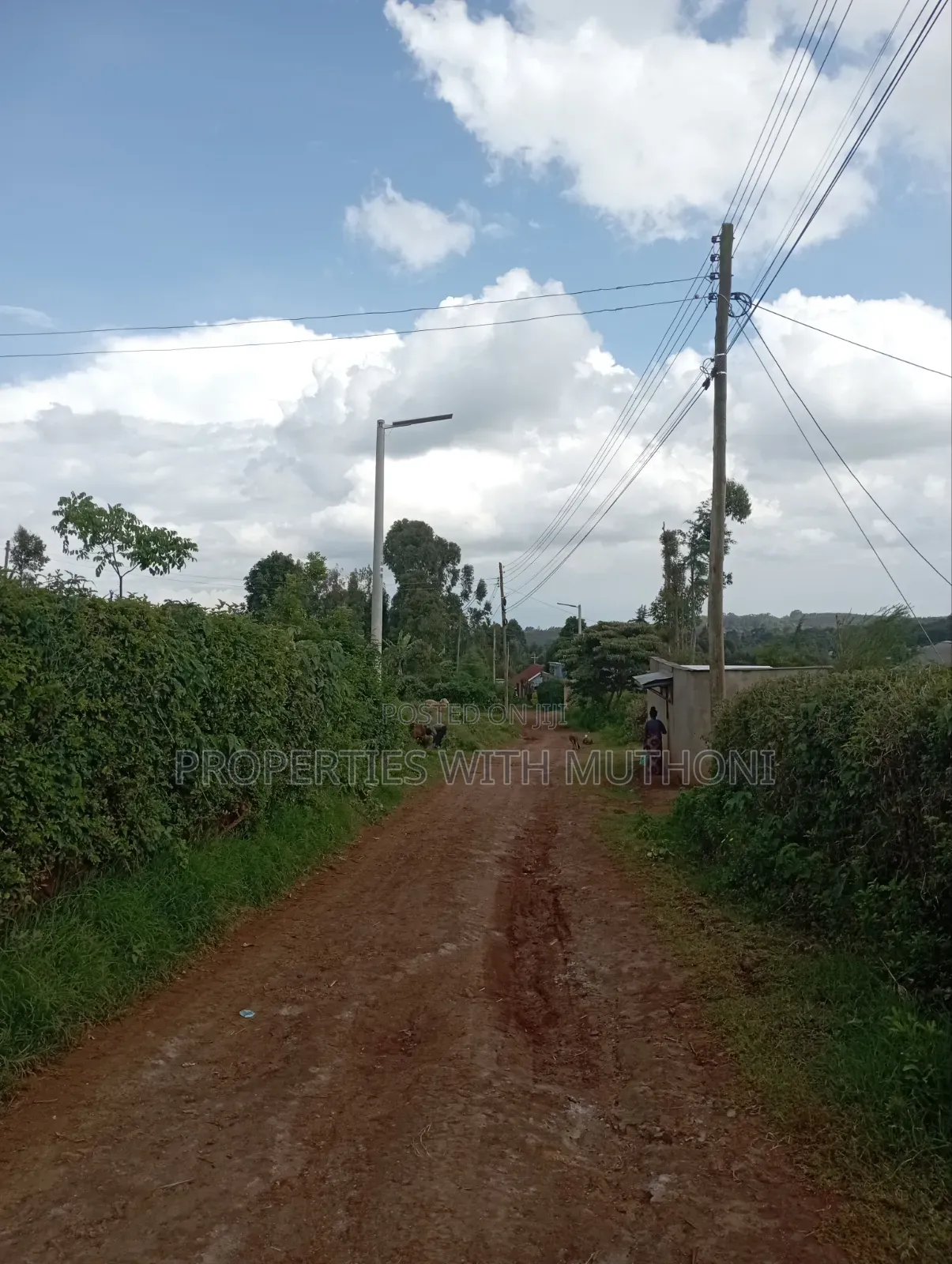 50×100 Plots for Sale at Kwa Mindo, Kikuyu in Zambezi/Sigona