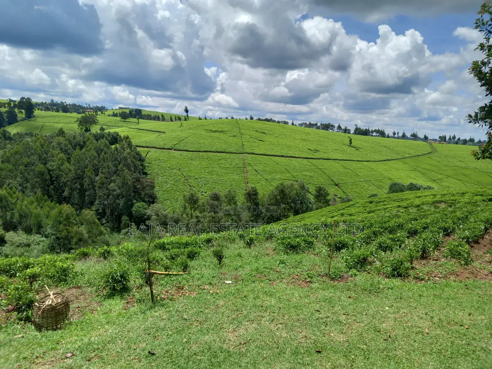 Kiambaa Land 4.5 Acres on Sale in Cianda