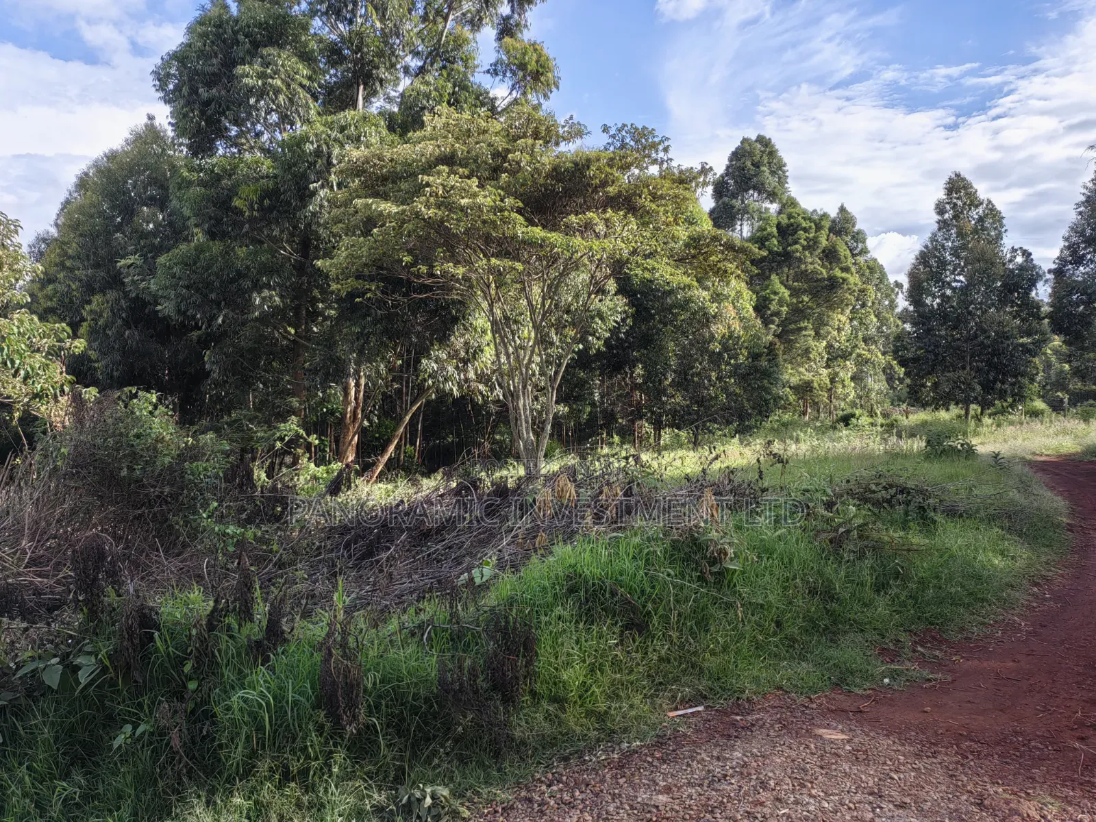 50x100 Plots for Sale in Ondiri Kikuyu Kiambu County. in Kikuyu