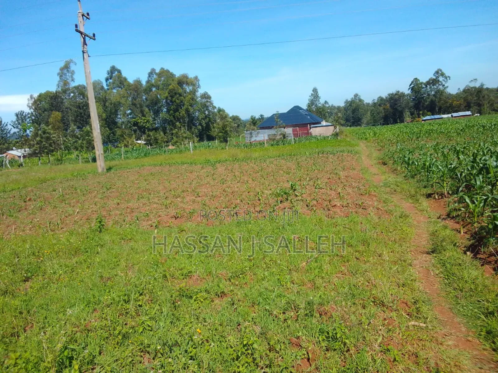 1/2acre Nyapora Mumias in Mumias Central