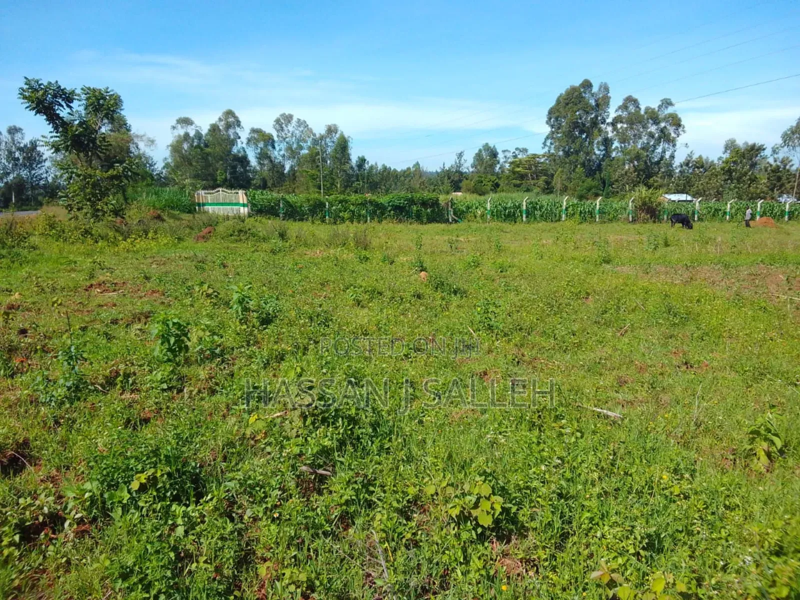 1/2acre Nyapora Mumias in Mumias Central